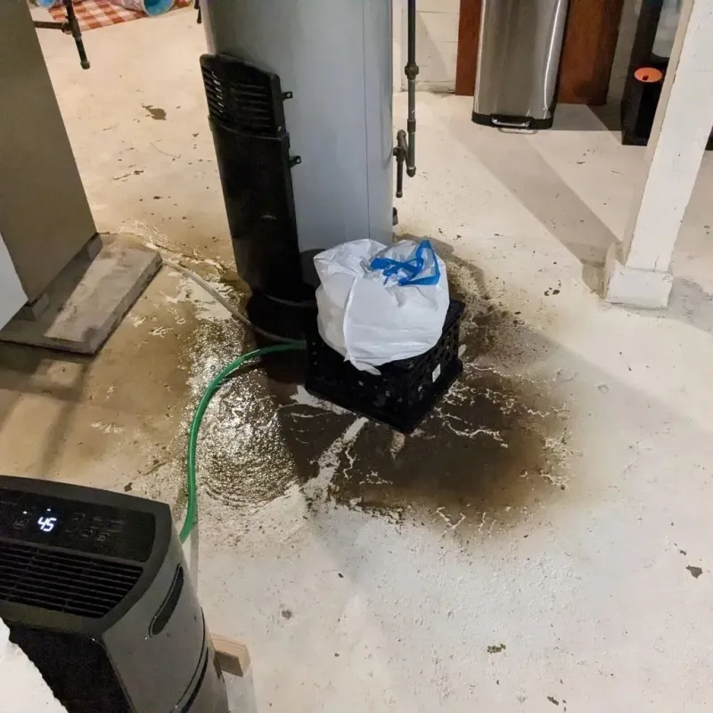 Sewage Backup Cleanup Service in Fyffe, AL